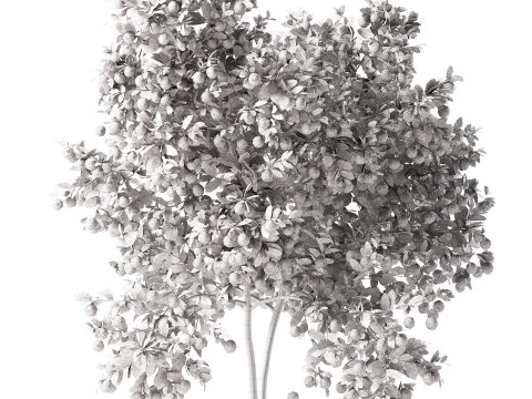 High realistic Fruit Trees 3D Collection 01 Modelo 3D