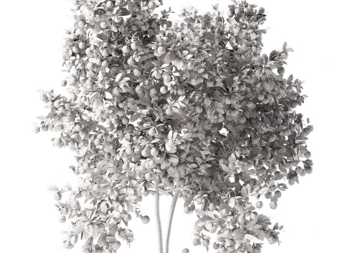 High realistic Fruit Trees 3D Collection 01 3D Model