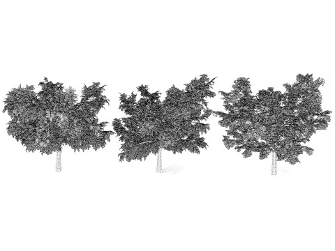 High realistic Fruit Trees 3D Collection 01 Modelo 3D