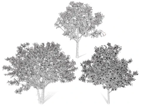 High realistic Fruit Trees 3D Collection 01 3D Model