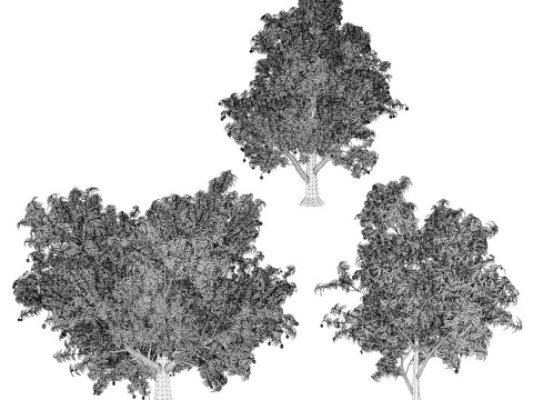 High realistic Fruit Trees 3D Collection 01 3D Model