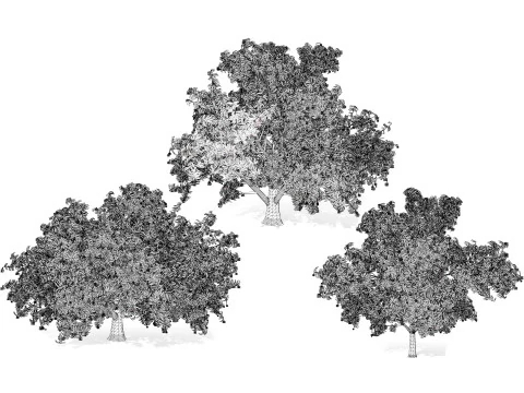 High realistic Fruit Trees 3D Collection 01 3D Model
