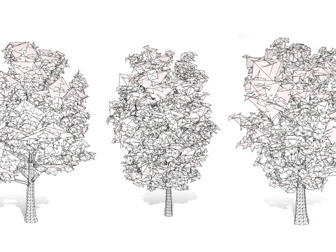 Realistic Pear Tree - All Seasons 3D Model