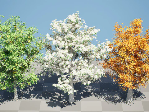 Realistic Pear Tree - All Seasons 3D Model