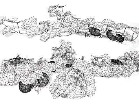Pumpkin Vine 3D Модель