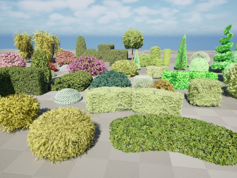 Shaped Bushes 3D Pack 01 3D Модель