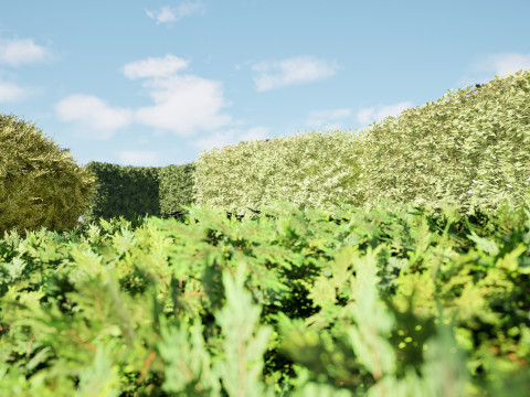 Shaped Bushes 3D Pack 01 3D Модель