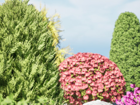 Shaped Bushes 3D Pack 01 3D Модель