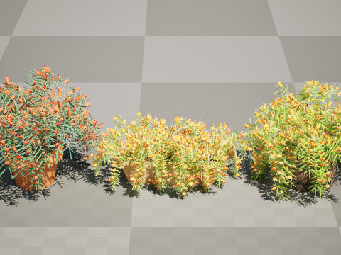 Lotus Vine 3D Model