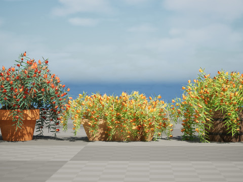 Lotus Vine 3D Model