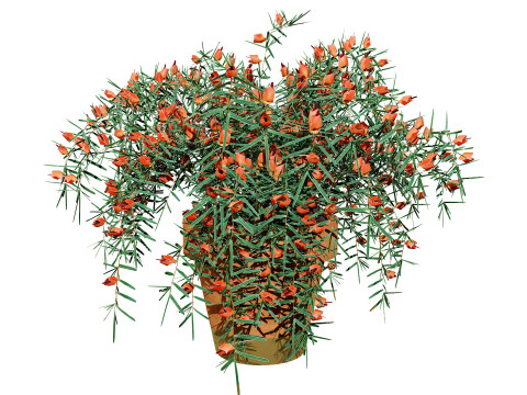 Lotus Vine 3D Model