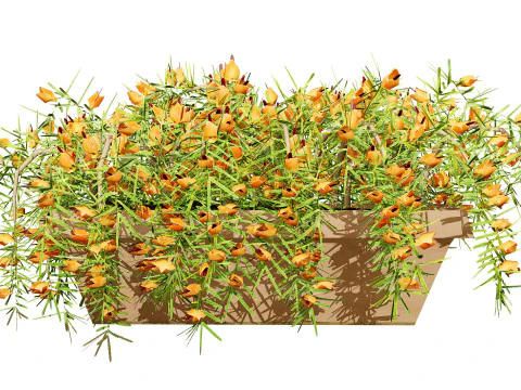 Lotus Vine 3D Model