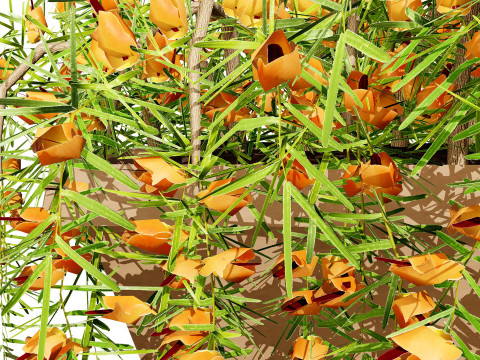 Lotus Vine 3D Model