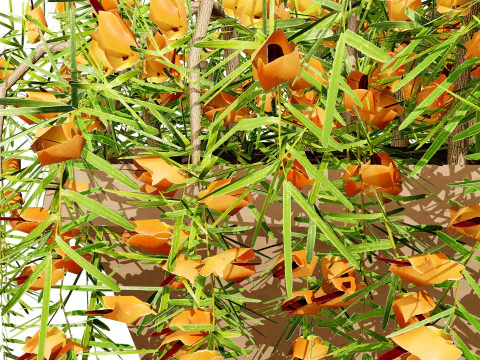 Lotus Vine 3D Model