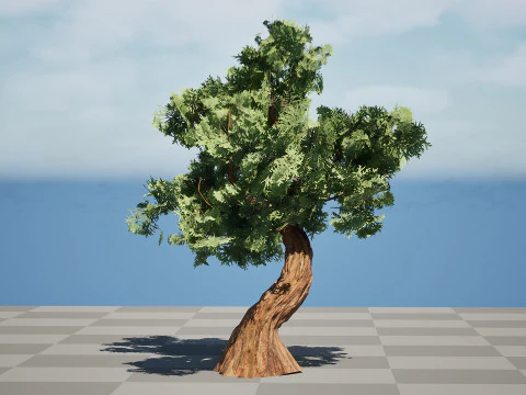 Spiral Juniper Tree 3D Model