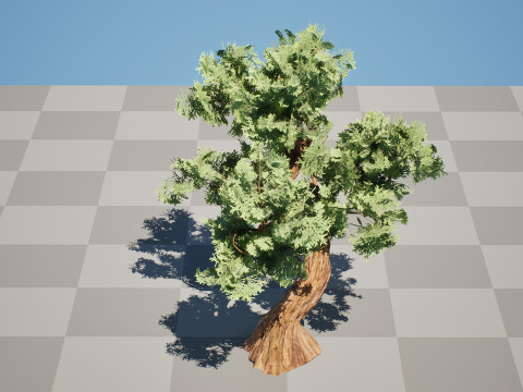 Spiral Juniper Tree Modelo 3D
