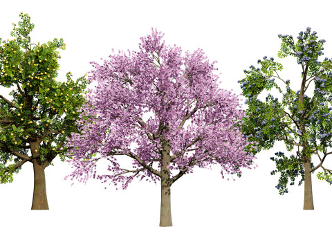 3D Plum Tree Pack Modelo 3D