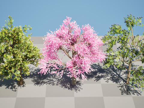 3D Plum Tree Pack Modelo 3D
