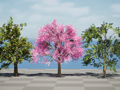 3D Plum Tree Pack 3D Model