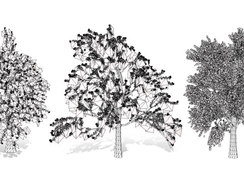 3D Plum Tree Pack Modelo 3D