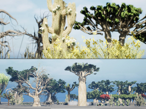 Desert Plants 3D Pack 3D Модель