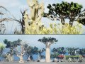 Desert Plants 3D Pack 3D Модель