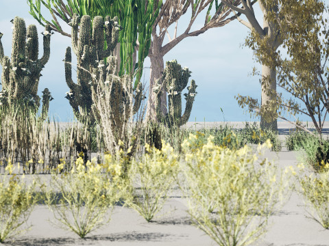 Desert Plants 3D Pack 3D Model
