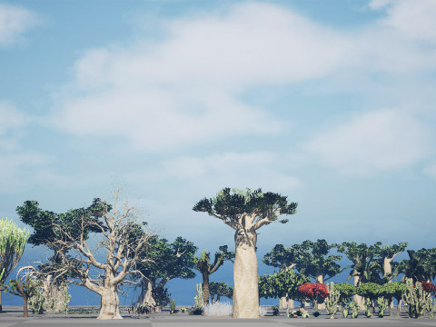 Desert Plants 3D Pack 3D Model