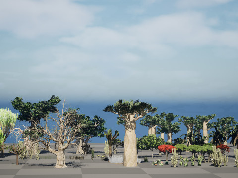 Desert Plants 3D Pack 3D Model