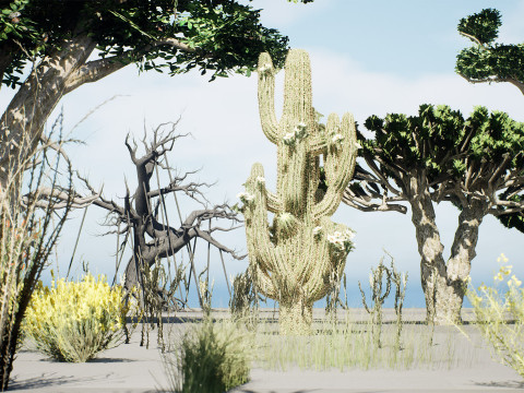 Desert Plants 3D Pack 3D Model