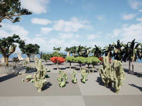 Desert Plants 3D Pack 3D Model