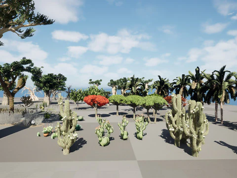 Desert Plants 3D Pack 3D Model