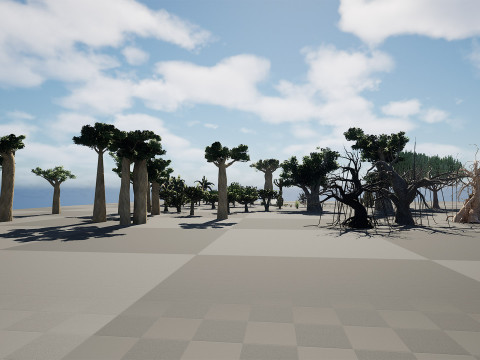 Desert Plants 3D Pack 3D Model
