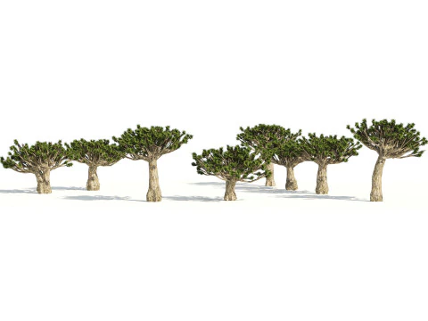 Desert Plants 3D Pack 3D Model