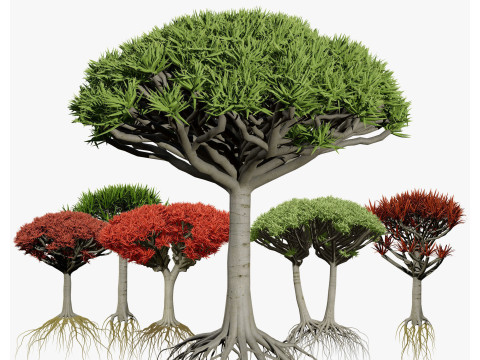 Desert Plants 3D Pack 3D Model