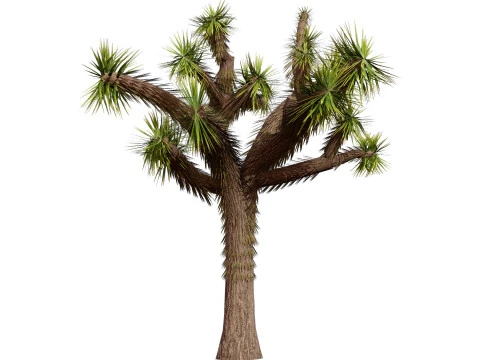 Desert Plants 3D Pack 3D Model