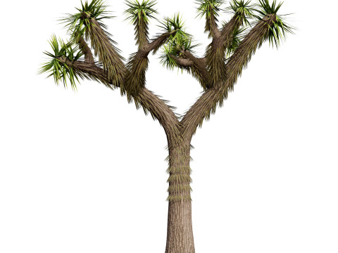 Desert Plants 3D Pack 3D Model