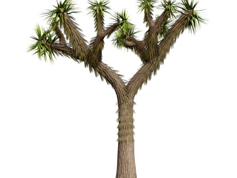 Desert Plants 3D Pack 3D Model