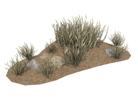 Desert Plants 3D Pack 3D Model
