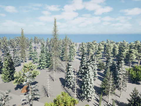 Conifer Tree 3d Pack - LowPoly 3D Модель