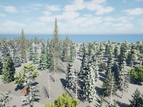 コニファー ツリー 3D パック - ローポリ 3Dモデル