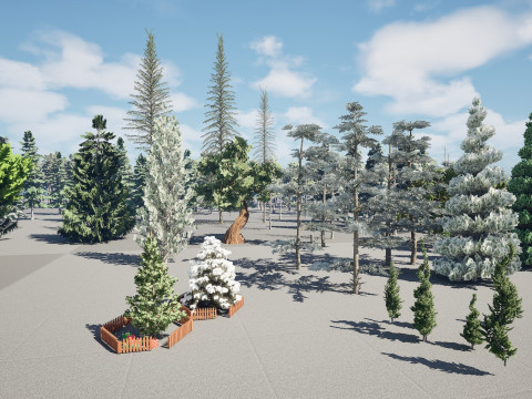 Conifer Tree 3d Pack - LowPoly 3D मॉडल