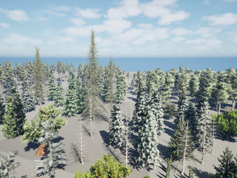 Conifer Tree 3d Pack - LowPoly 3D मॉडल