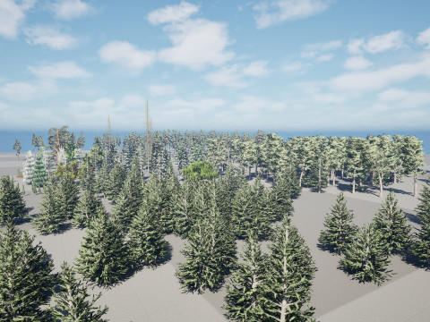 Conifer Tree 3d Pack - LowPoly 3D मॉडल