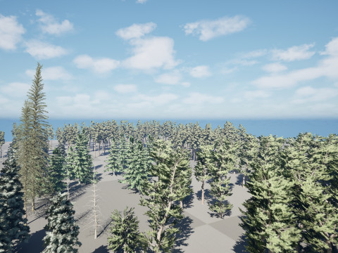 Conifer Tree 3d Pack - LowPoly 3D मॉडल