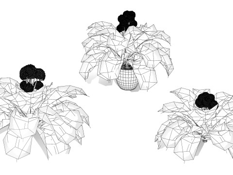 3D Broccoli Plants 3D Model