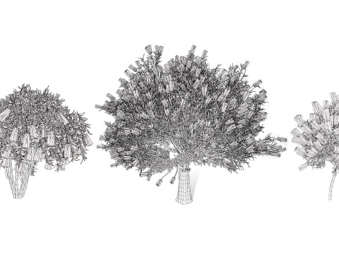 Australian Bottlebrush Trees 3D 모델