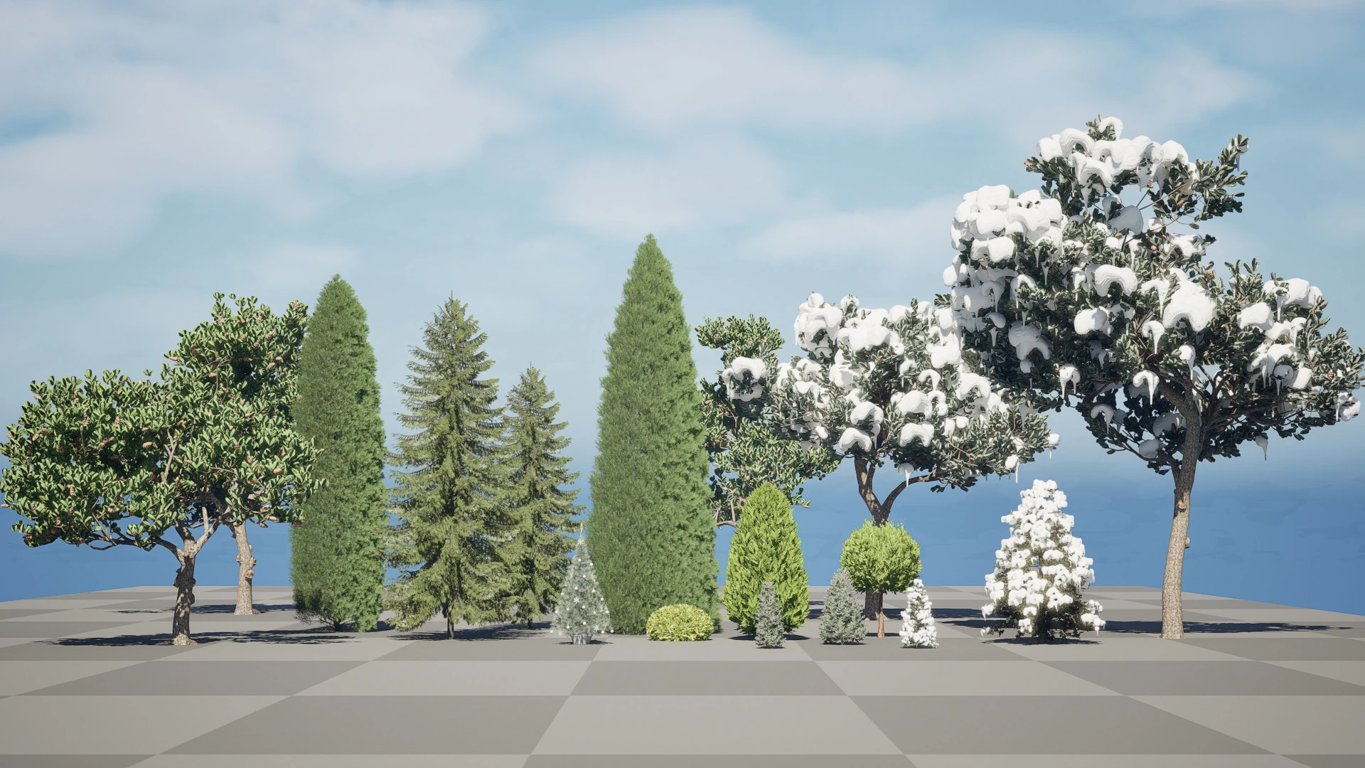 Conifer 3D Pack High-Quality 3D Model .c4d .max .obj .3ds .fbx .stl .blend 