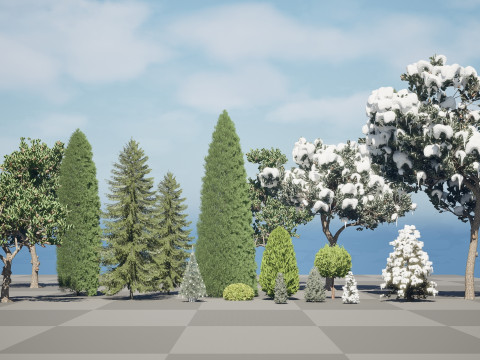 Conifer 3D Pack High-Quality 3D Модель