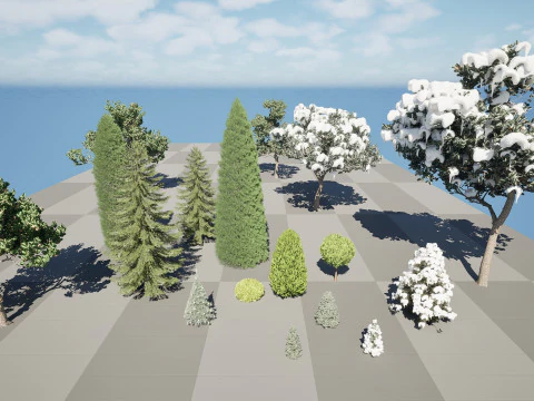 Conifer 3D Pack High-Quality 3D Model
